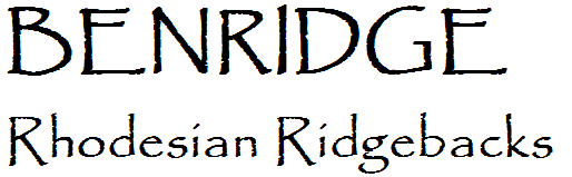 BENRIDGE RHODESIAN RIDGEBACKS